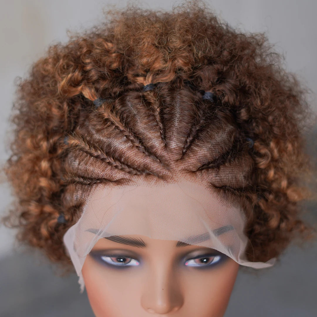 Afro Curly Wigs Colorful Human Hair Wigs with Braids 13×4 Lace Front Wig Remy Human Hair Wig for Women