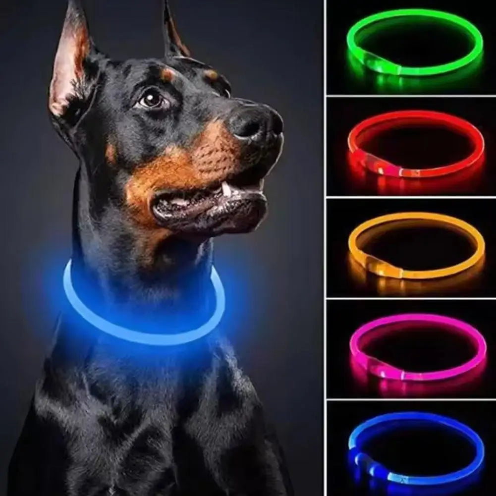 Pet Dog LED Light Collar Luminous Anti-Lost Dog Collar USB Rechargeable Dog Necklace Adjustable Collar Pet Safety Supplies