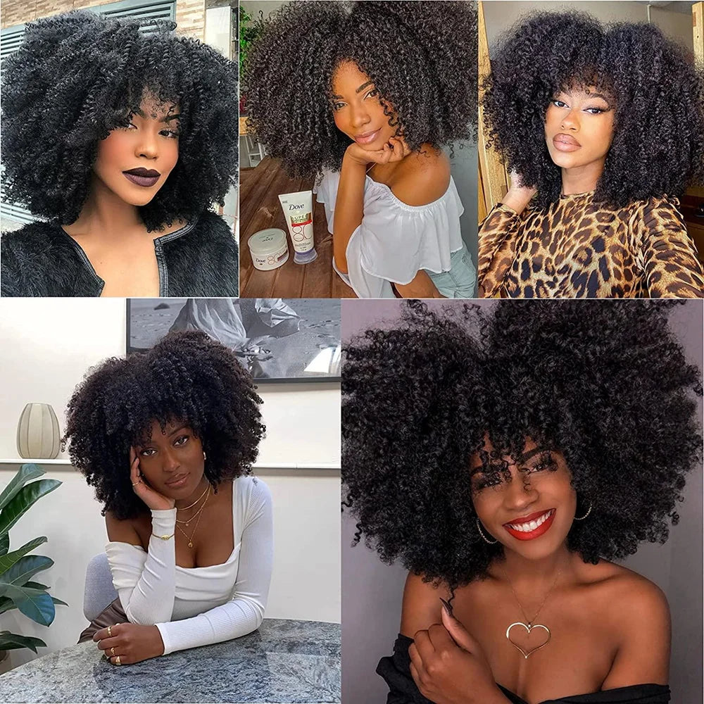 16 Inch Black Brown Natural Looking Synthetic Hair Afro Curly Wig for Black Women Kinky Curly Wig with Bang Short Curly Bob Hair