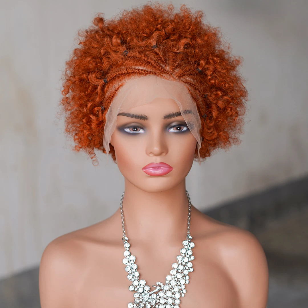 Afro Curly Wigs Colorful Human Hair Wigs with Braids 13×4 Lace Front Wig Remy Human Hair Wig for Women